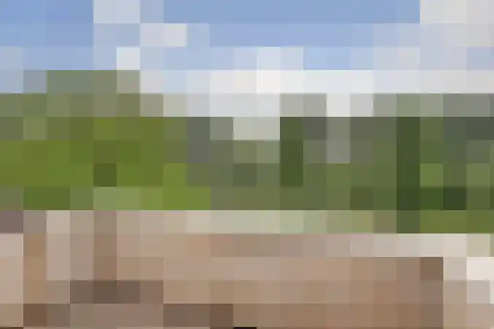 De Sallandse Roe 21 Dronten thumbnail 24