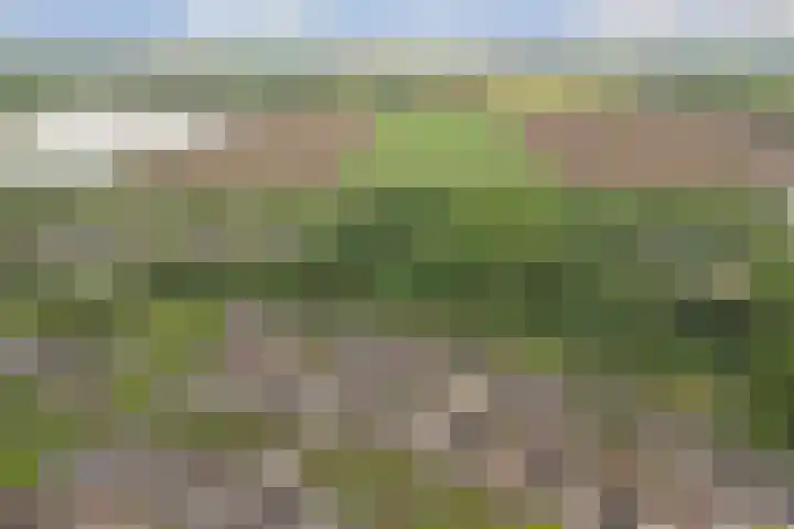 De Sallandse Roe 21 Dronten thumbnail 27