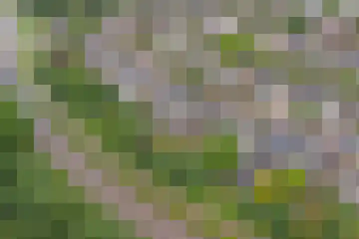 De Sallandse Roe 21 Dronten thumbnail 28