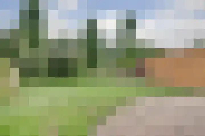 De Sallandse Roe 21 Dronten thumbnail 30