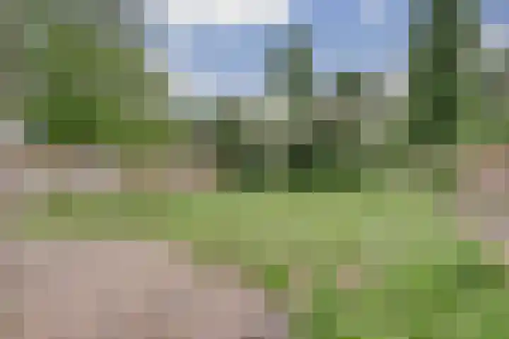 De Sallandse Roe 21 Dronten thumbnail 31