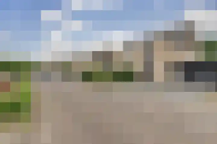 De Sallandse Roe 21 Dronten thumbnail 32