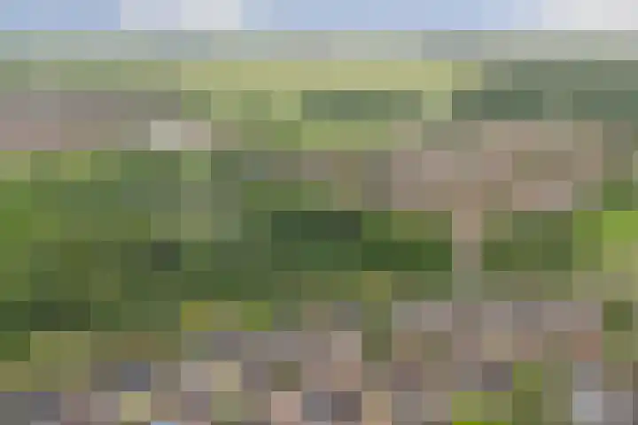 De Sallandse Roe 21 Dronten thumbnail 35