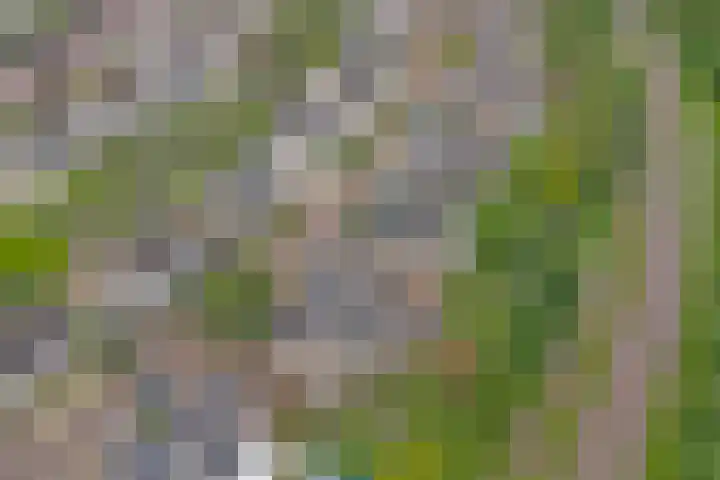 De Sallandse Roe 21 Dronten thumbnail 36