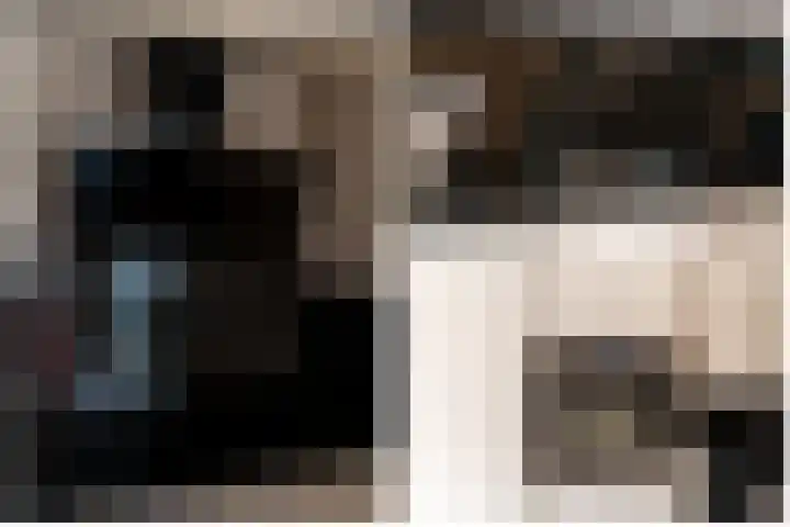 De Sallandse Roe 4 Dronten thumbnail 18