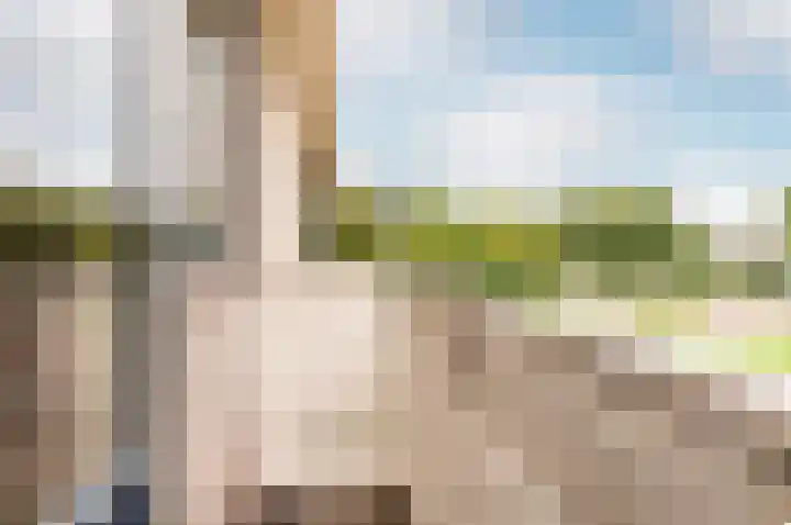 De Sallandse Roe 4 Dronten thumbnail 32