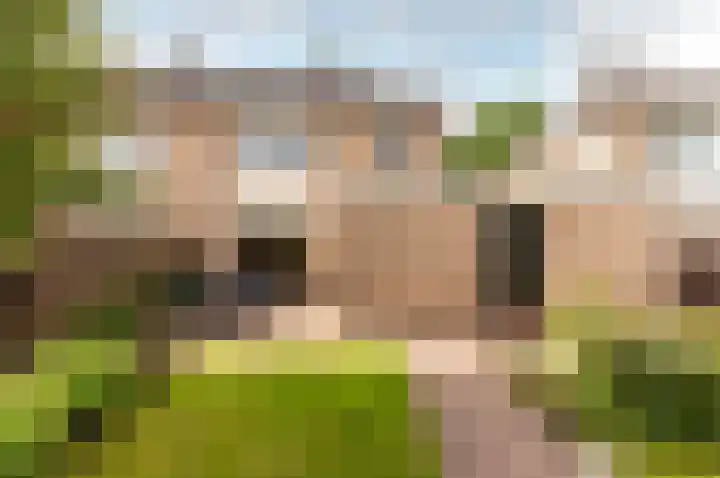 De Sallandse Roe 4 Dronten thumbnail 49