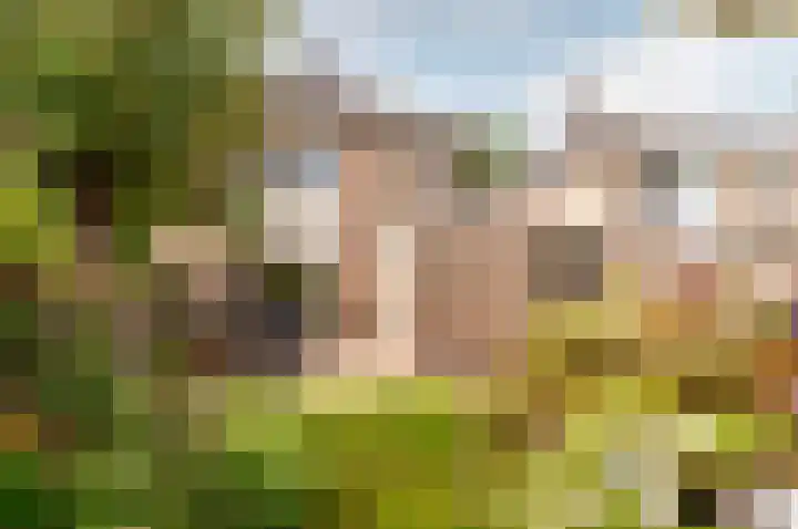 De Sallandse Roe 4 Dronten thumbnail 50