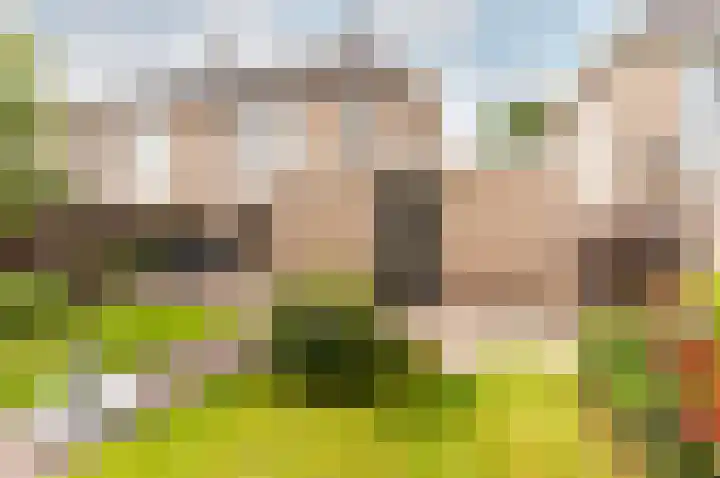 De Sallandse Roe 4 Dronten thumbnail 51