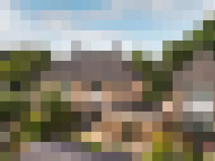 De Sallandse Roe 4 Dronten thumbnail 56
