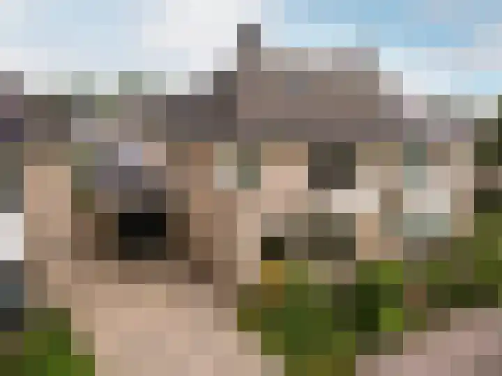 De Sallandse Roe 4 Dronten thumbnail 57