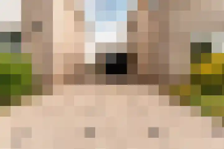 De Sallandse Roe 4 Dronten thumbnail 7