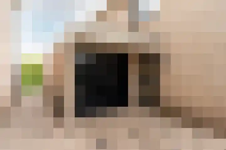 De Sallandse Roe 4 Dronten thumbnail 8