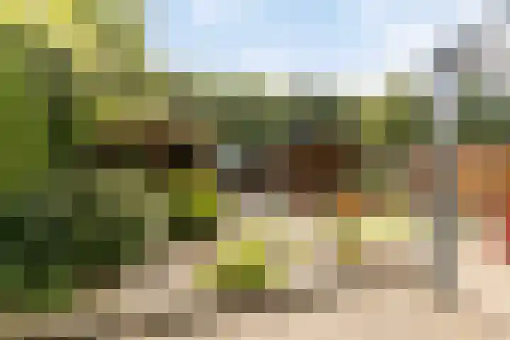 De Sallandse Roe 7 Dronten foto 2