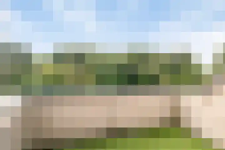 De Sallandse Roe 7 Dronten thumbnail 27