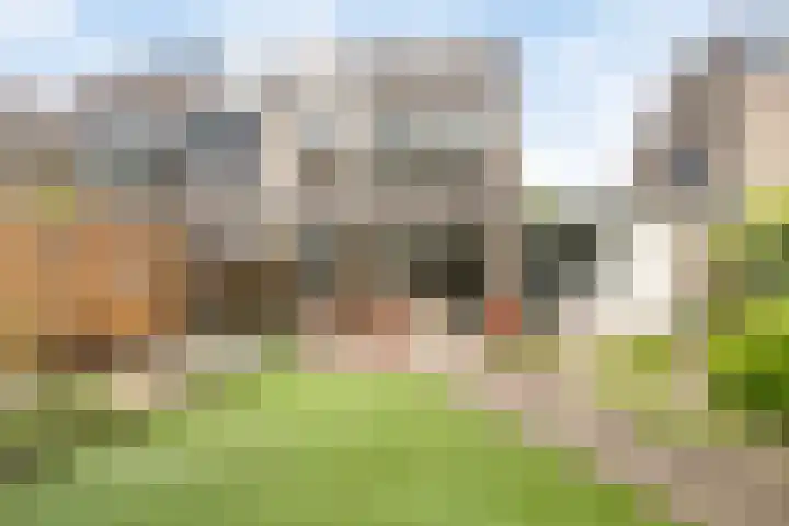 De Sallandse Roe 7 Dronten thumbnail 28