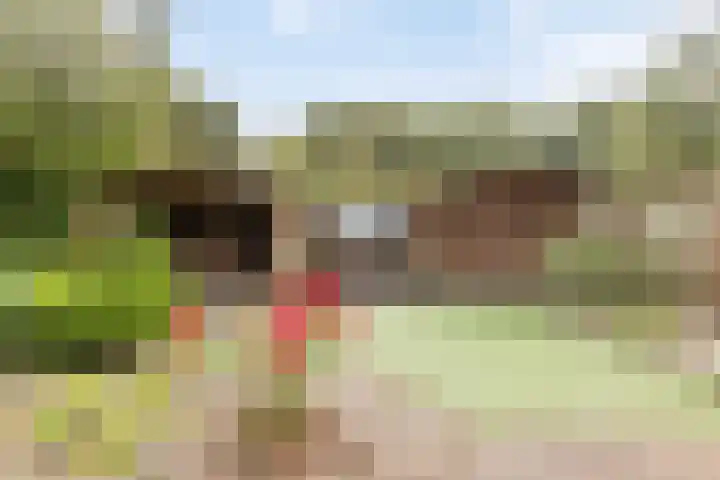 De Sallandse Roe 7 Dronten thumbnail 31