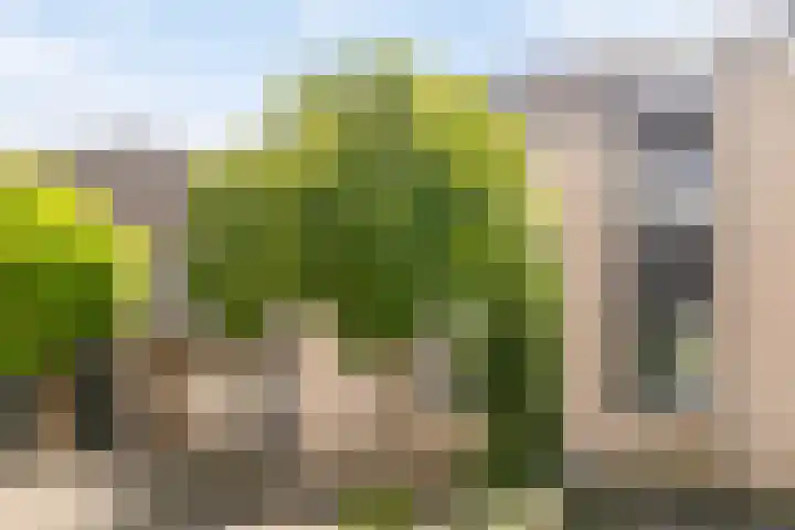 De Sallandse Roe 7 Dronten thumbnail 6