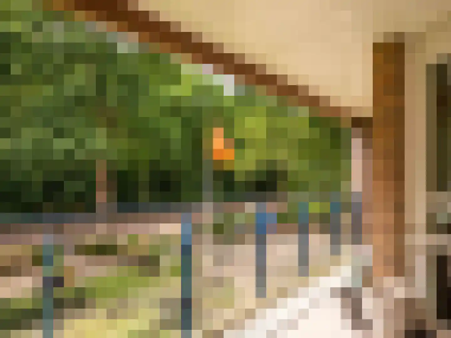 De Sanderij 100 Schoorl thumbnail 10
