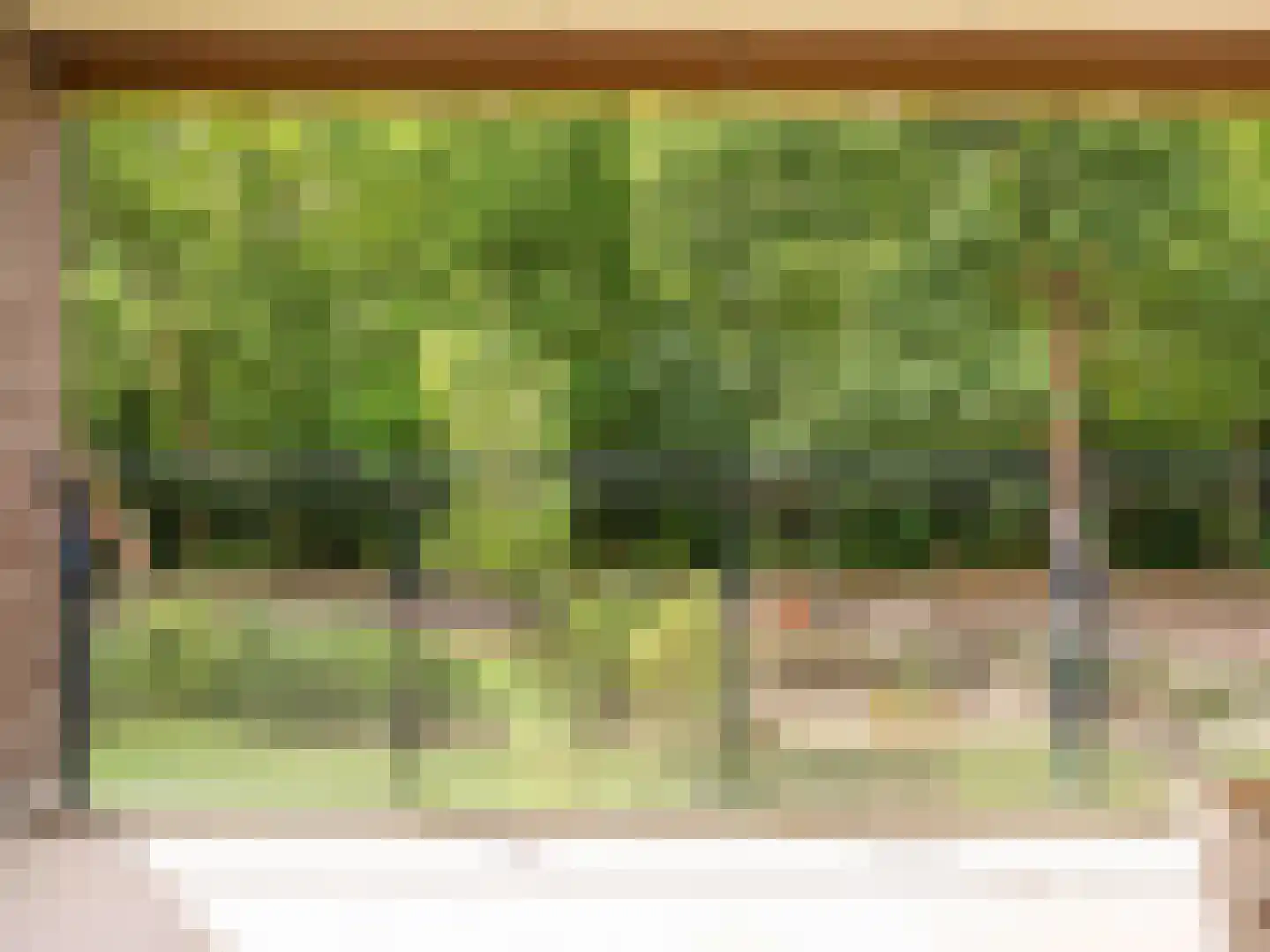 De Sanderij 100 Schoorl thumbnail 11