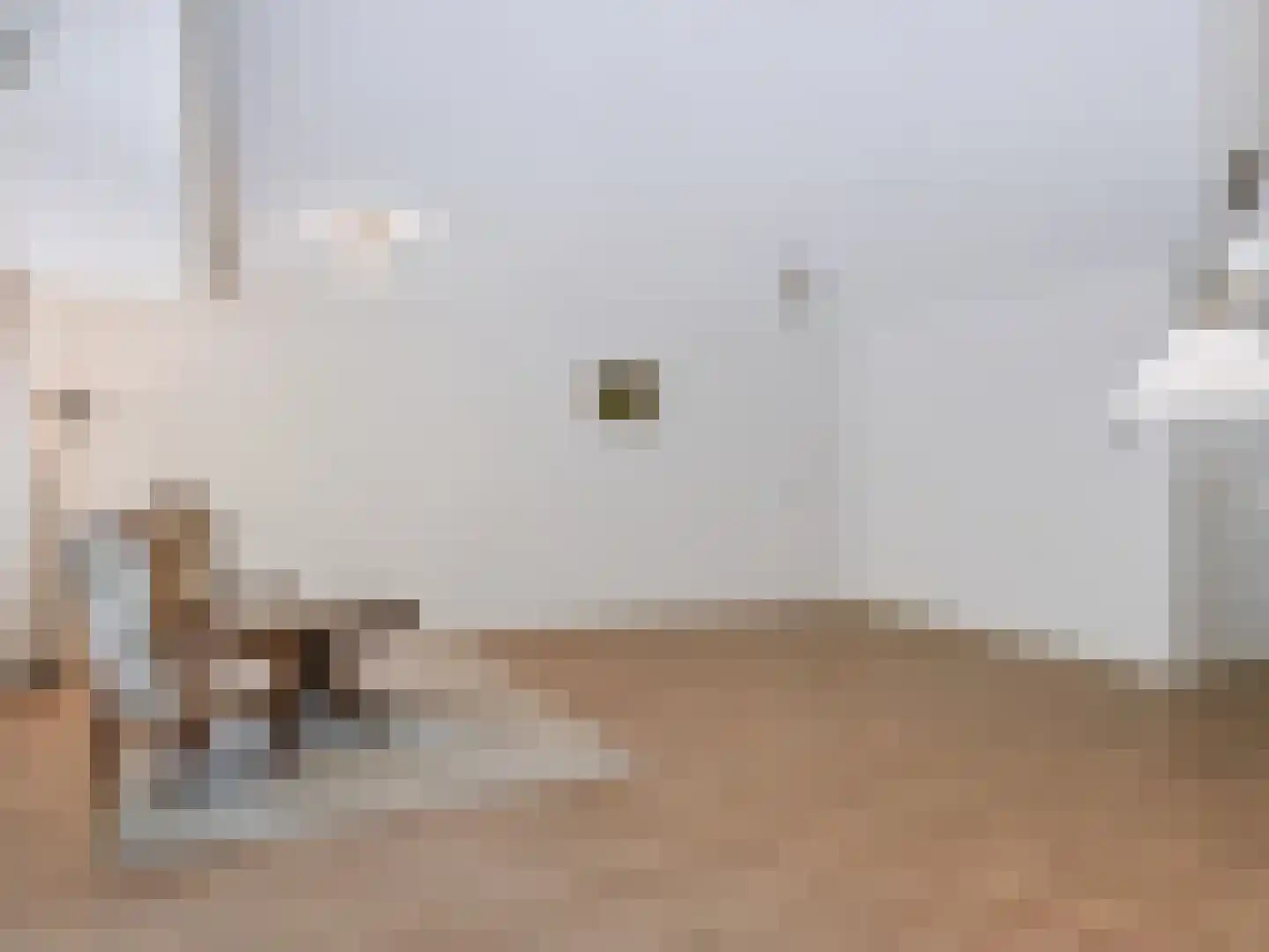 De Sanderij 100 Schoorl thumbnail 13