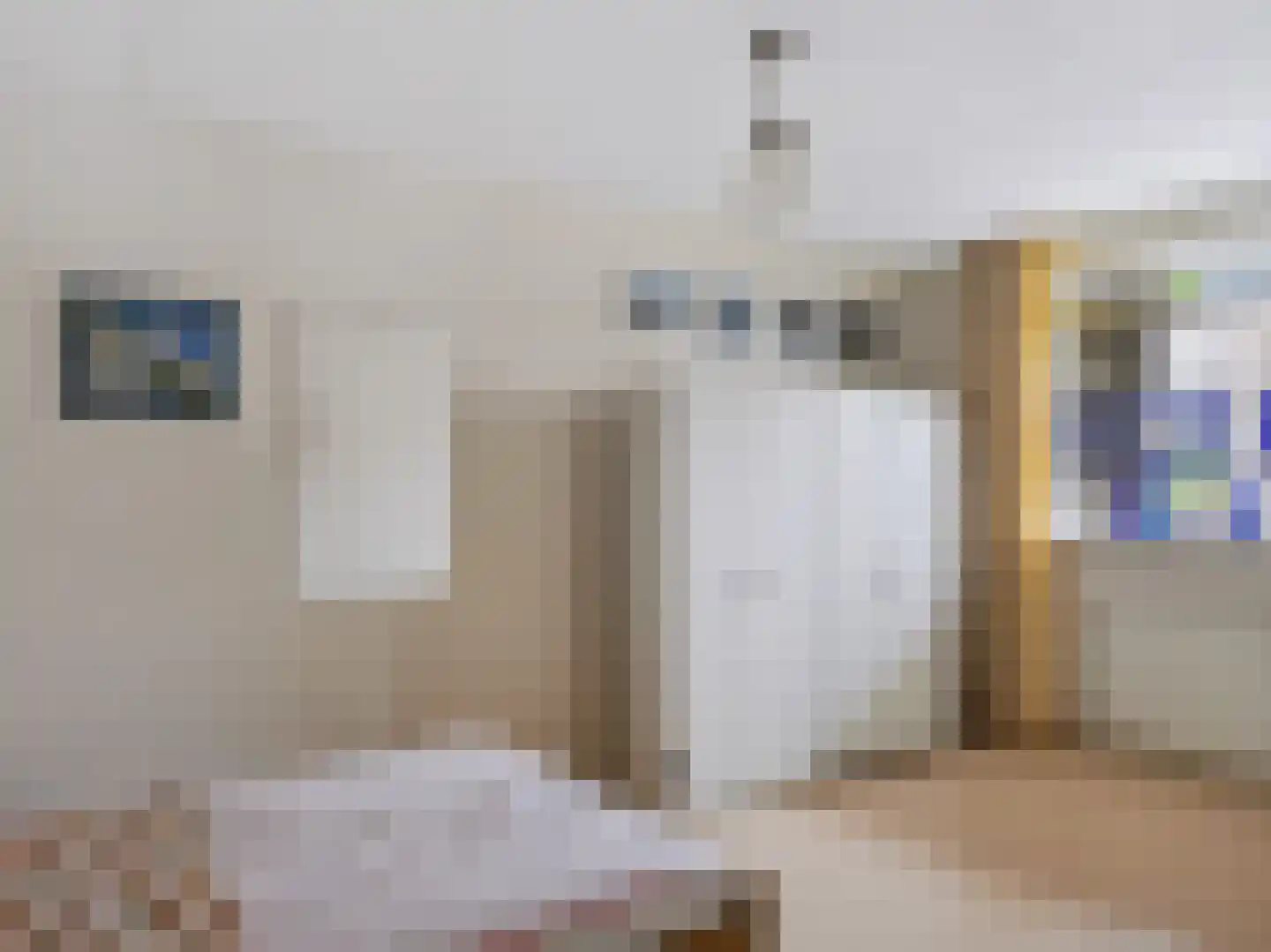 De Sanderij 100 Schoorl thumbnail 18