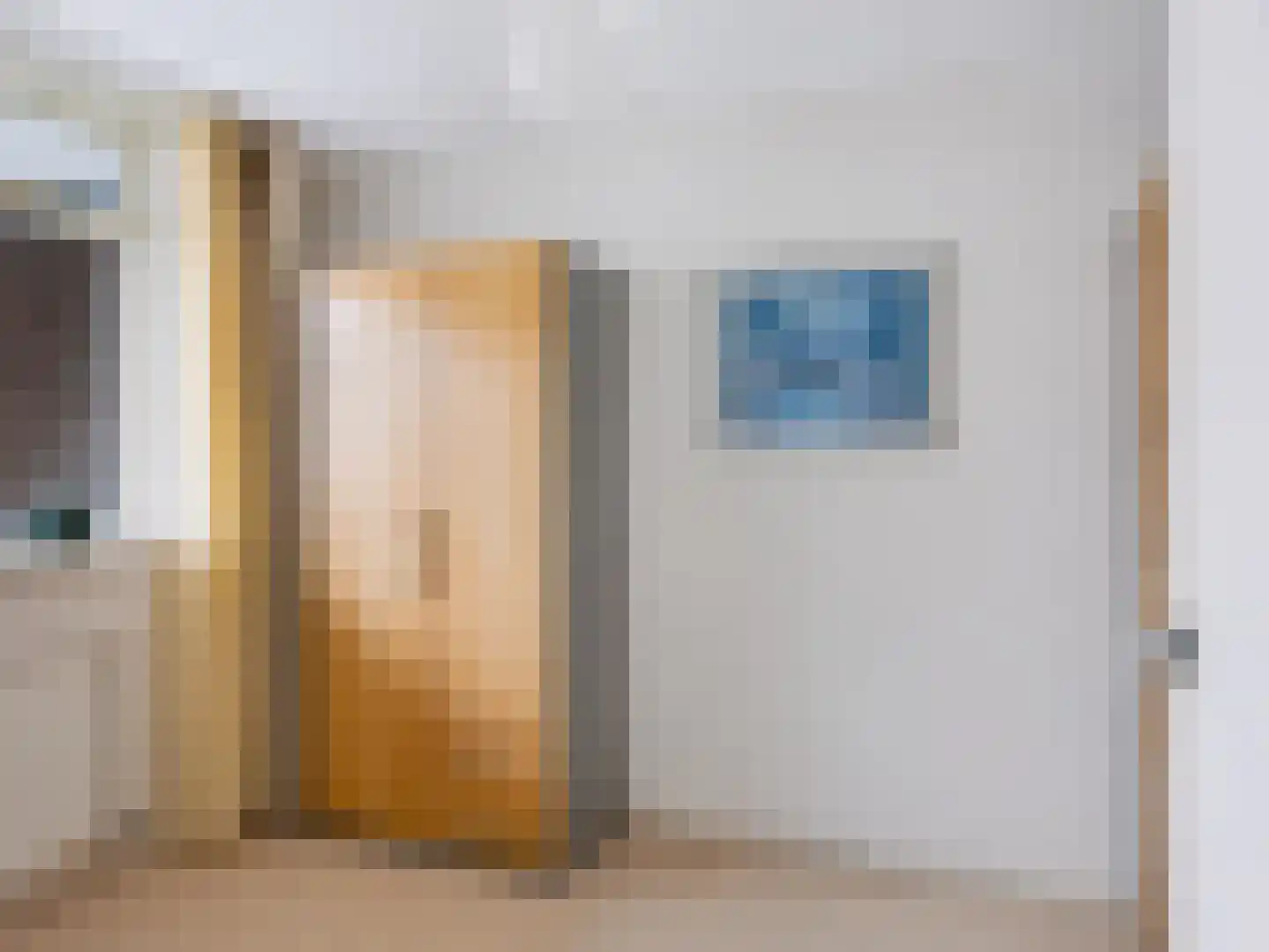 De Sanderij 100 Schoorl thumbnail 19