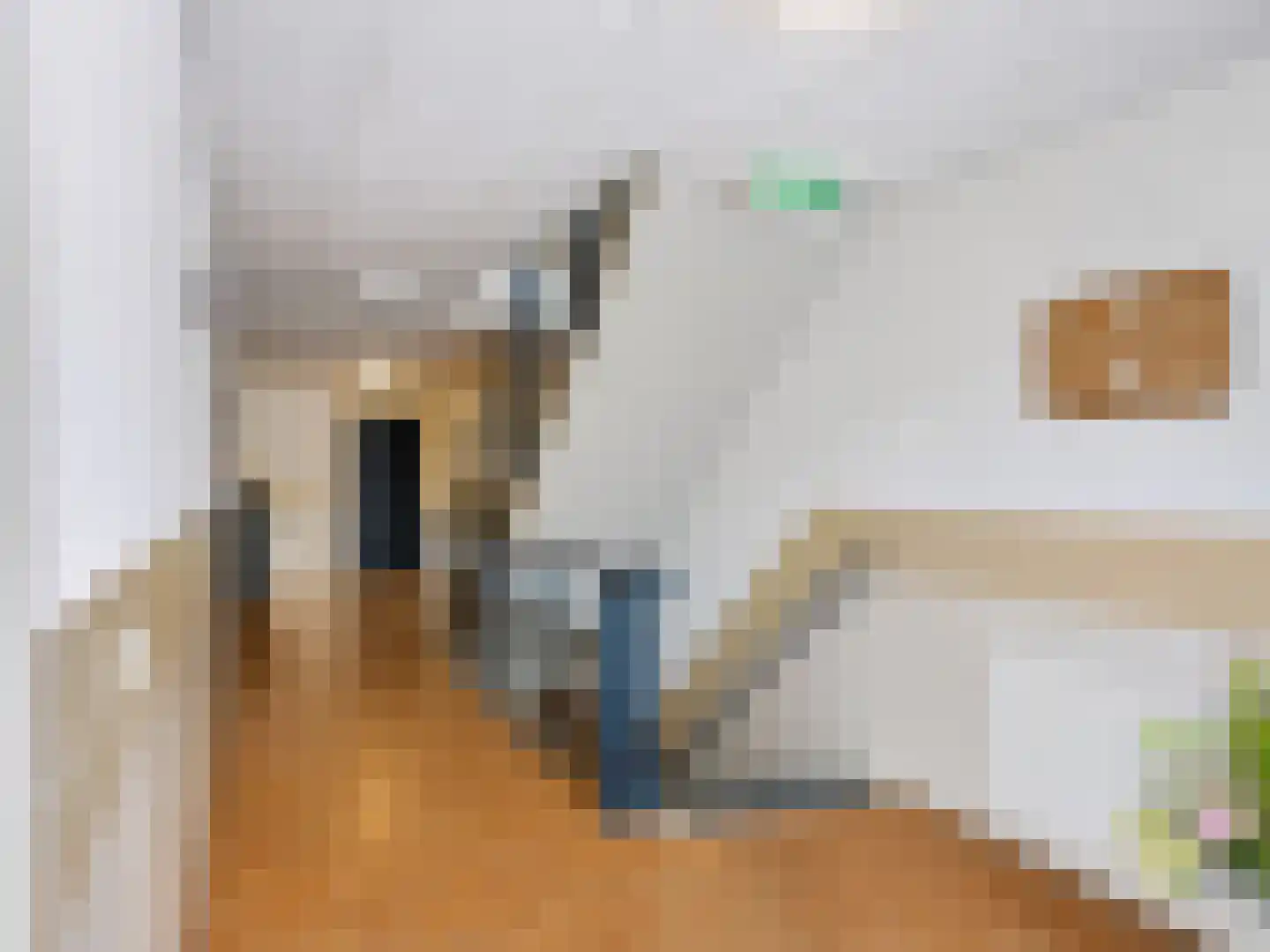 De Sanderij 100 Schoorl thumbnail 27