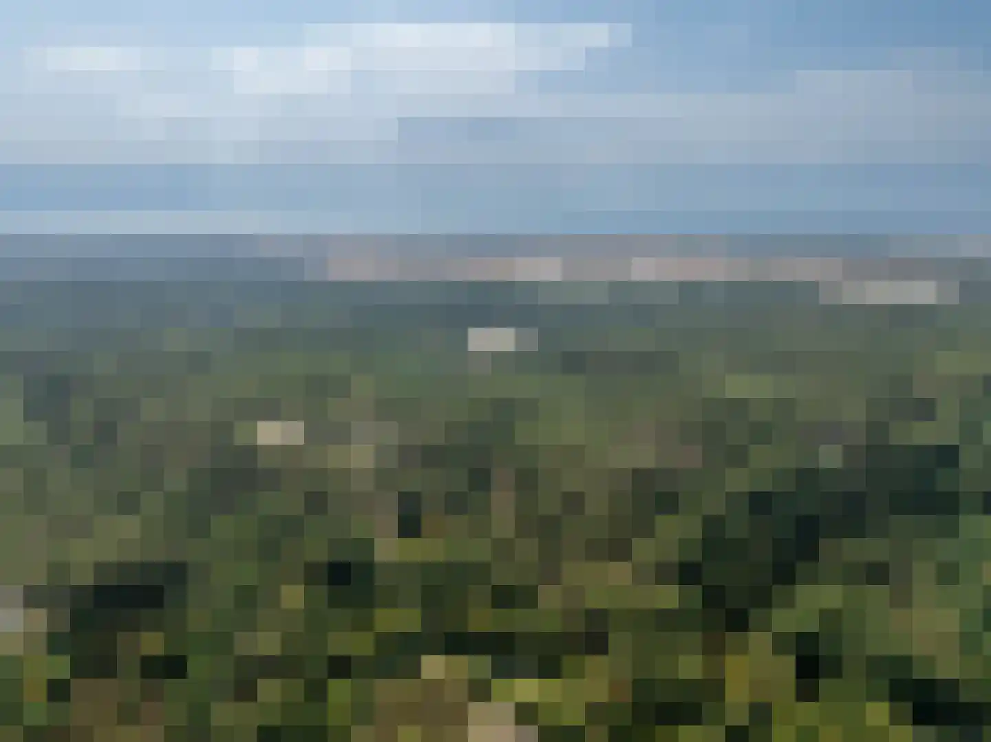 De Sanderij 100 Schoorl thumbnail 33