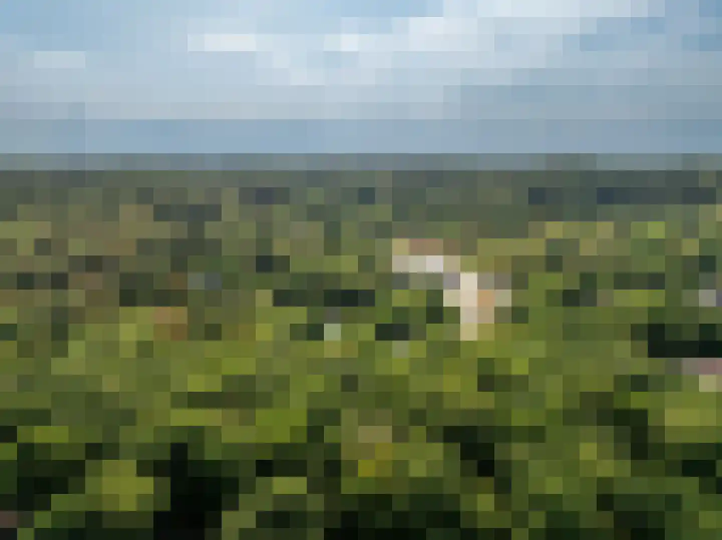 De Sanderij 100 Schoorl thumbnail 35