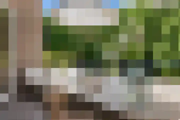 De Sanderij 101 a Schoorl thumbnail 10