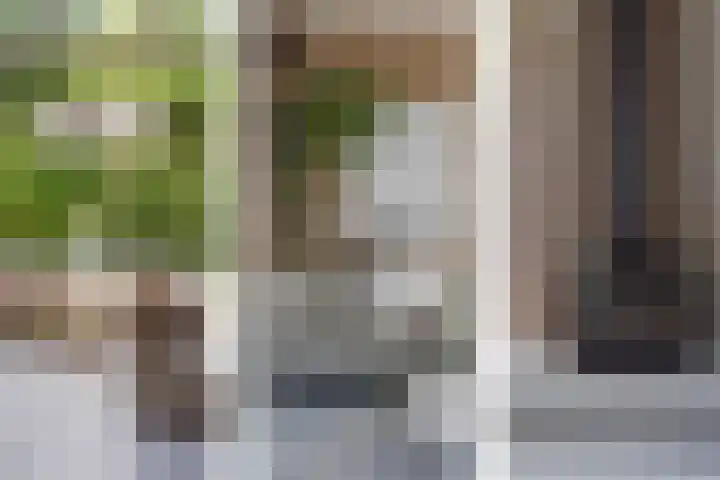 De Sanderij 101 a Schoorl thumbnail 11