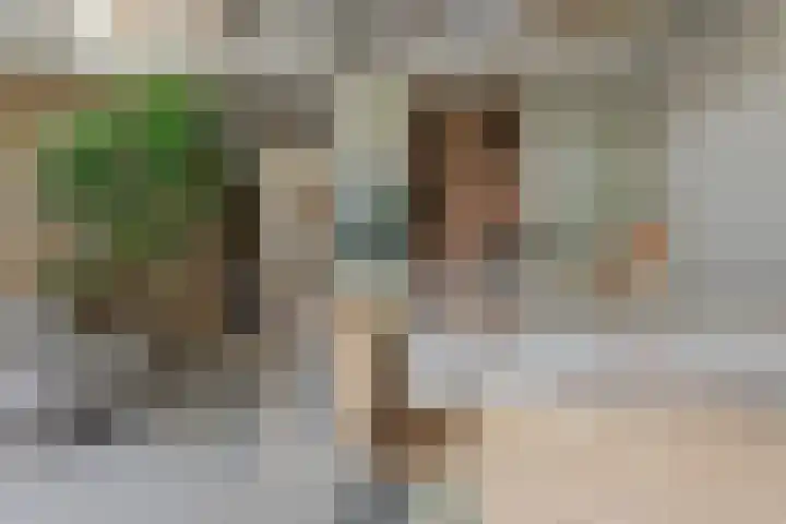 De Sanderij 101 a Schoorl thumbnail 12
