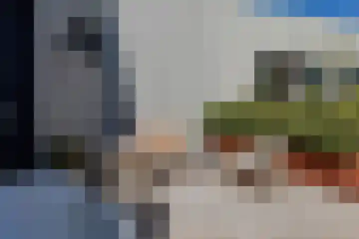 De Sanderij 101 a Schoorl thumbnail 22