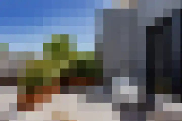De Sanderij 101 a Schoorl thumbnail 23