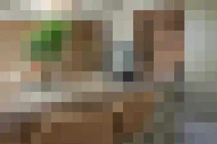 De Sanderij 101 a Schoorl thumbnail 4