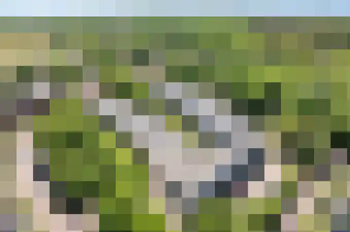 De Sanderij 101 a Schoorl thumbnail 5