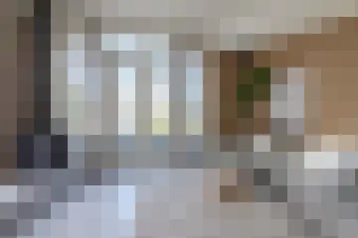 De Sanderij 101 a Schoorl thumbnail 8