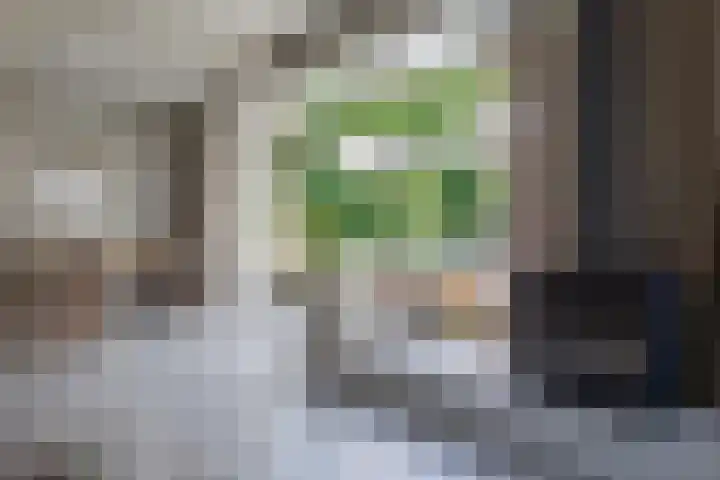 De Sanderij 101 a Schoorl thumbnail 9