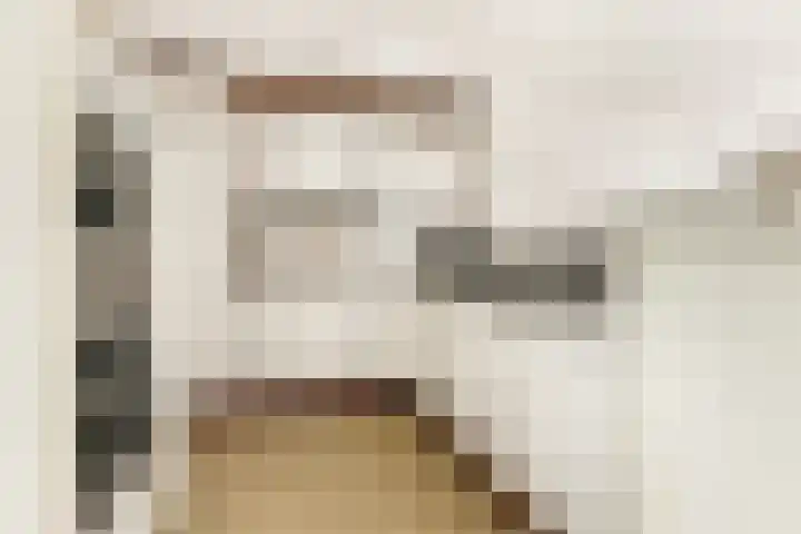 De Sanderij 106 Schoorl thumbnail 11