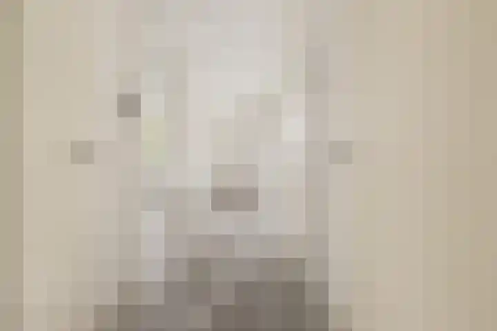 De Sanderij 106 Schoorl thumbnail 13