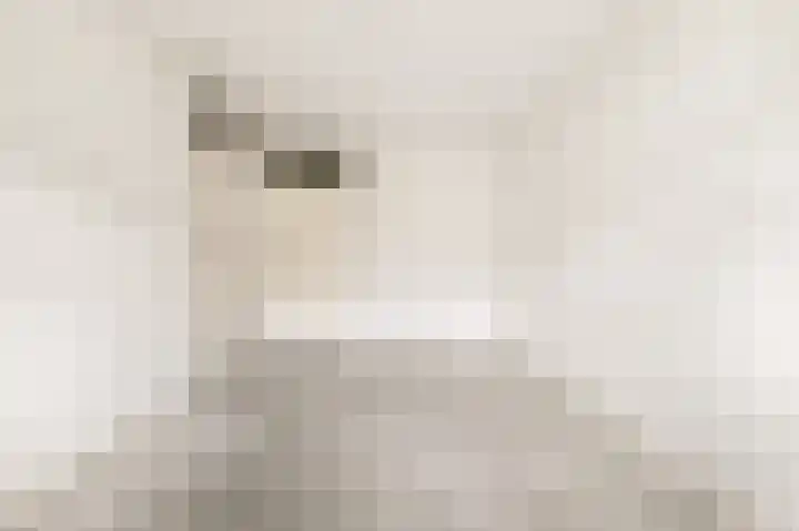 De Sanderij 106 Schoorl thumbnail 16