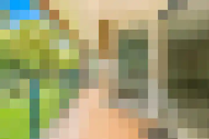 De Sanderij 106 Schoorl thumbnail 22