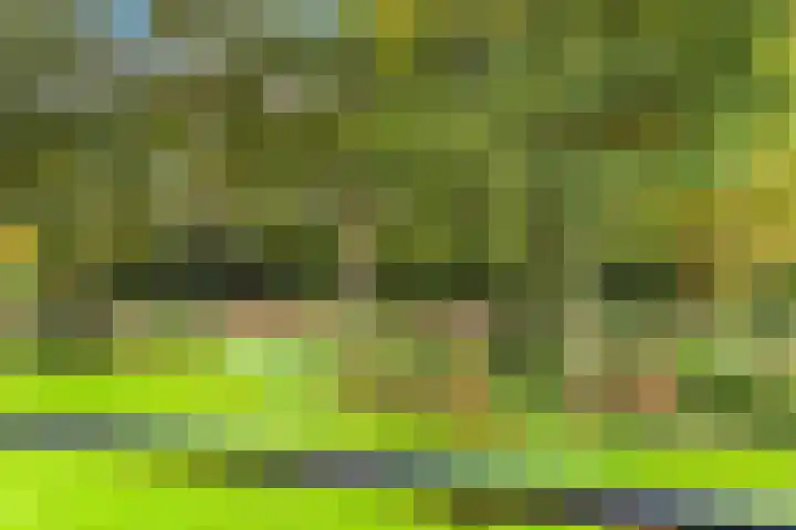 De Sanderij 106 Schoorl thumbnail 24