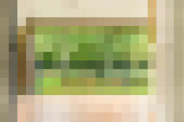 De Sanderij 106 Schoorl thumbnail 25