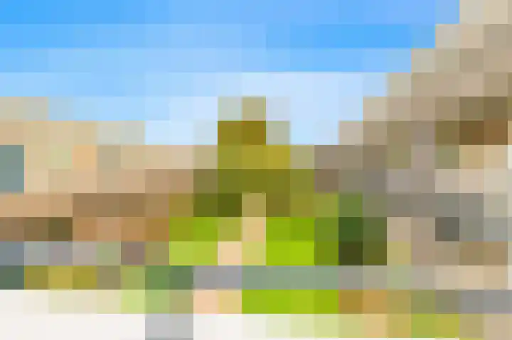 De Sanderij 106 Schoorl thumbnail 28