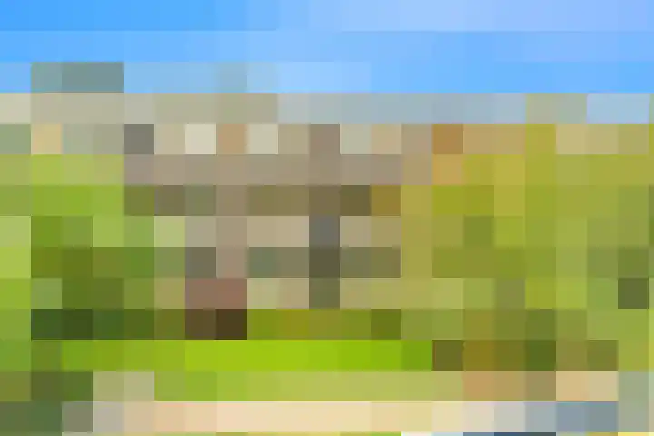 De Sanderij 106 Schoorl thumbnail 29