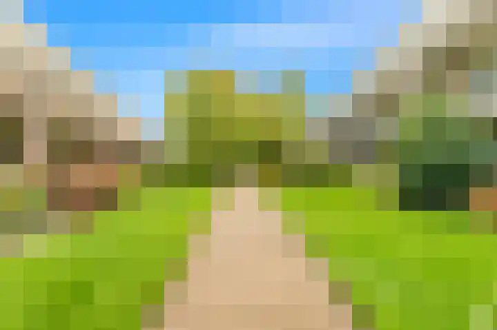 De Sanderij 106 Schoorl thumbnail 30