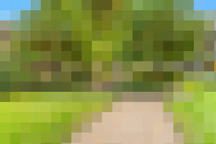 De Sanderij 106 Schoorl thumbnail 31