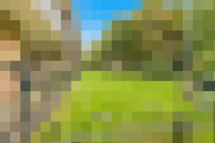 De Sanderij 106 Schoorl thumbnail 35